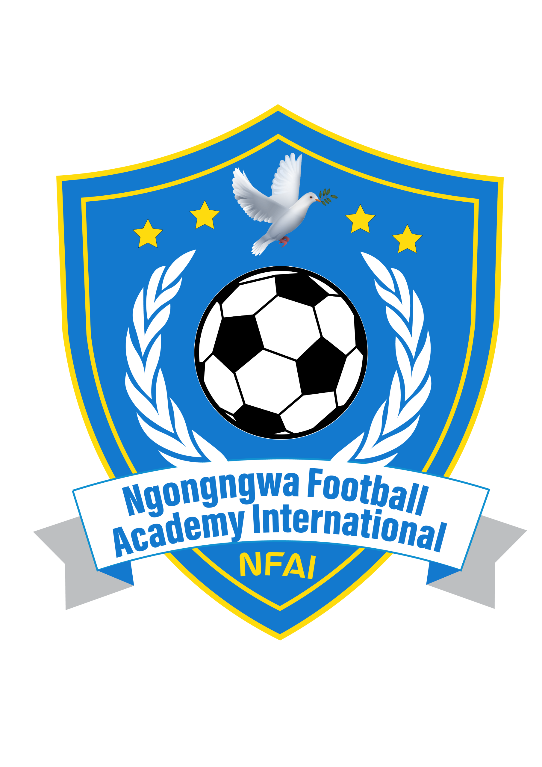 NFAI FOOTBALL ACADEMY